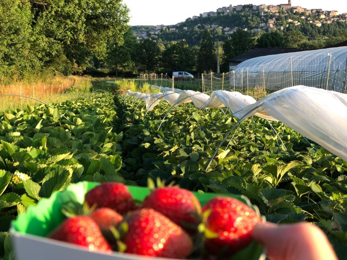 Gite A La Ferme De Verdurette كورد سور سيال المظهر الخارجي الصورة