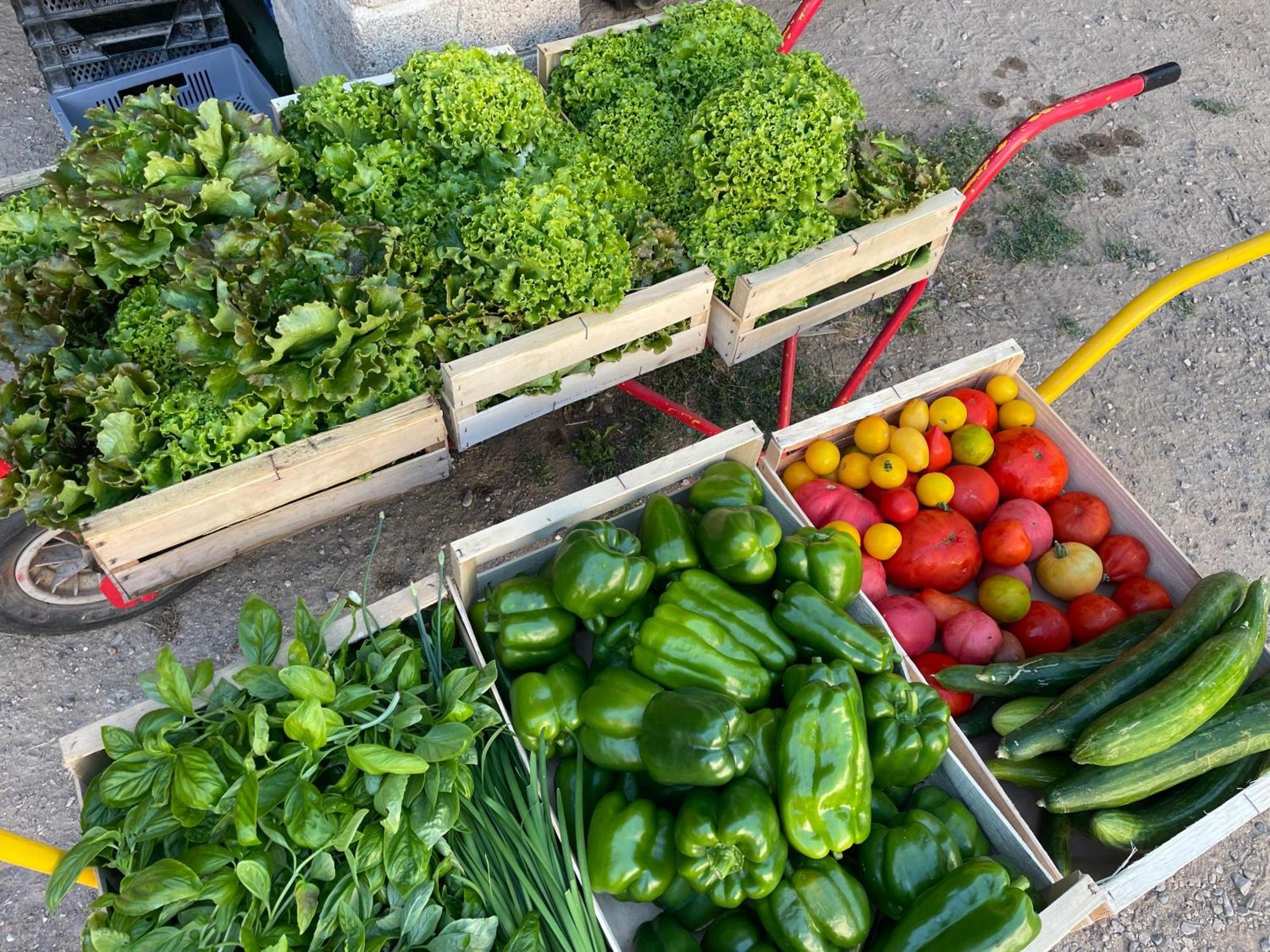 Gite A La Ferme De Verdurette كورد سور سيال المظهر الخارجي الصورة